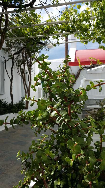 Christina Studios Mykonos Town 외부 사진